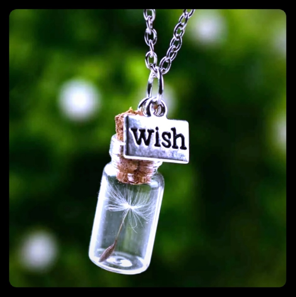 Wish genuine dandelion petal necklace